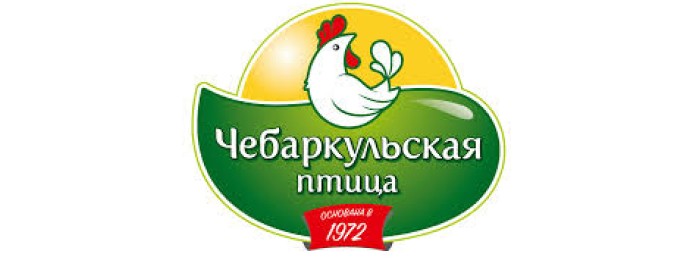 Чебаркульская птица